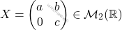 \[X = \begin{pmatrix} a&b\\ 0&c \end{pmatrix} \in \mathcal{M}_2(\mathbb{R})\]