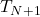 T_{N+1}