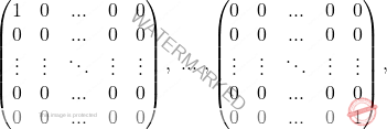 \[\begin{pmatrix} 1 & 0&...&0 & 0\\ 0 & 0&...&0 &0\\ \vdots&\vdots&\ddots&\vdots&\vdots\\ 0 & 0&...&0 &0\\ 0 & 0&...&0 &0\\ \end{pmatrix}, \text{  }...\text{  },     \begin{pmatrix} 0 & 0&...&0 & 0\\ 0 & 0&...&0 &0\\ \vdots&\vdots&\ddots&\vdots&\vdots\\ 0 & 0&...&0 &0\\ 0 & 0&...&0 &1\\ \end{pmatrix},\]