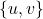 \{ u,v \}