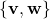 \left\{\mathbf{v}, \mathbf w\right\}