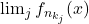 \lim_j f_{n_{k_j}}(x)