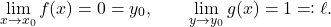 \begin{equation*} \lim_{x \to x_0} f(x)= 0 = y_0, \qquad \lim_{y \to y_0} g(x) = 1 \eqqcolon \ell. \end{equation*}