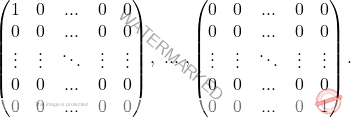 \[\begin{pmatrix} 1 & 0&...&0 & 0\\ 0 & 0&...&0 &0\\ \vdots&\vdots&\ddots&\vdots&\vdots\\ 0 & 0&...&0 &0\\ 0 & 0&...&0 &0\\ \end{pmatrix}, \text{  }...\text{  },     \begin{pmatrix} 0 & 0&...&0 & 0\\ 0 & 0&...&0 &0\\ \vdots&\vdots&\ddots&\vdots&\vdots\\ 0 & 0&...&0 &0\\ 0 & 0&...&0 &1\\ \end{pmatrix}.\]