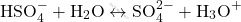 \[ \text{HSO}_4^- + \text{H}_2\text{O} \leftrightarrow \text{SO}_4^{2-} + \text{H}_3\text{O}^+ \]
